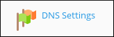Plesk - DNS Settings icon
